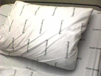 �䟭���H�ȕa�@�̃V�[�c